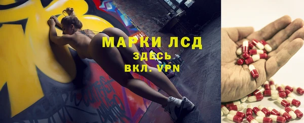 гашик Новозыбков
