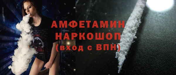 гашик Новозыбков