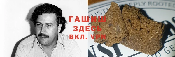 гашик Новозыбков