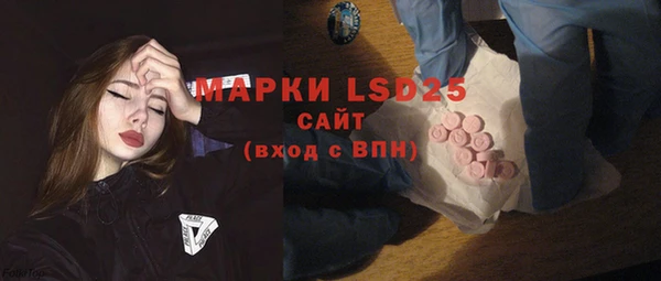 гашик Новозыбков