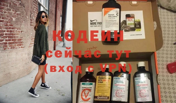 гашик Новозыбков