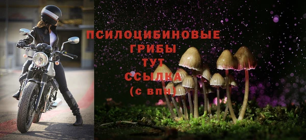 кокс Новодвинск