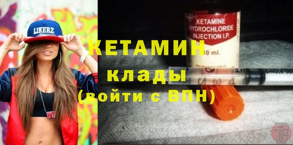 гашик Новозыбков