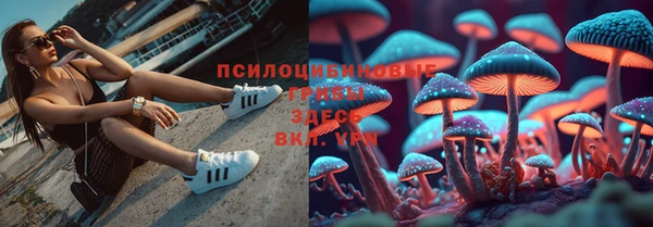 мяу мяу мука Новокубанск