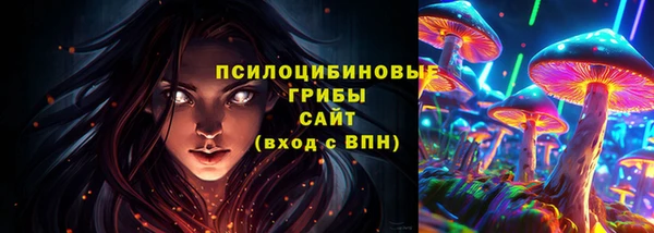 гашик Новозыбков