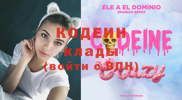 гашик Новозыбков