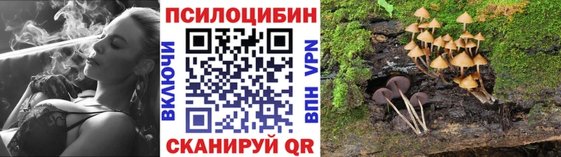 darknet официальный сайт Ртищево Псилоцибиновые грибы Psilocybe