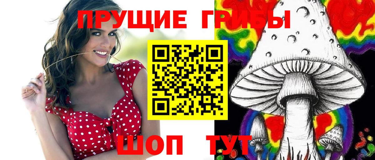 Галлюциногенные грибы Psilocybe  где найти наркотики  Ртищево  Галлюциногенные грибы MAGIC MUSHROOMS  Вход с VPN 