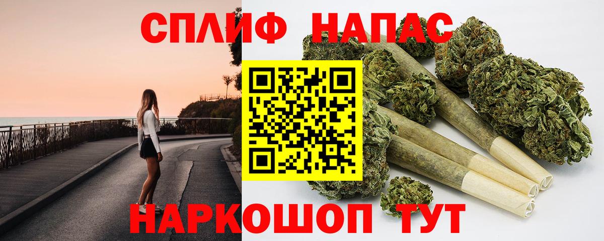 Конопля конопля Ртищево